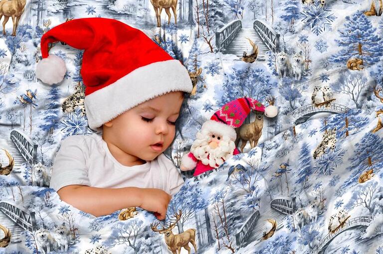 Poszewka ZIMOWA 70x80cm na poduszkę 100% bawełna, Winter Forest Blue (4)